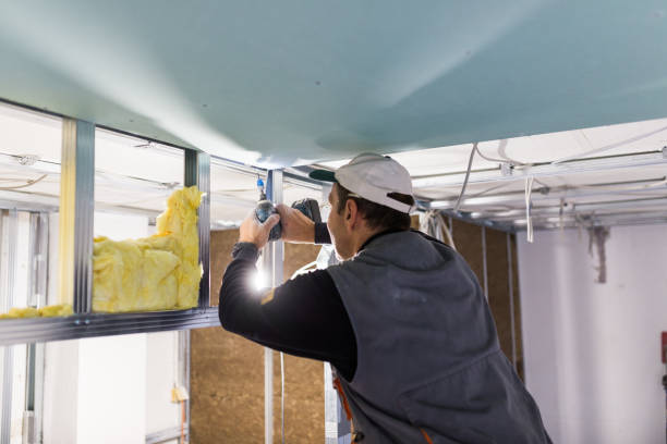 Best Insulation Contractors for Homes  in Akron, CO