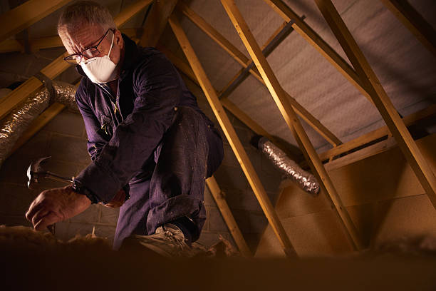 Best Insulation Repair Services  in Akron, CO